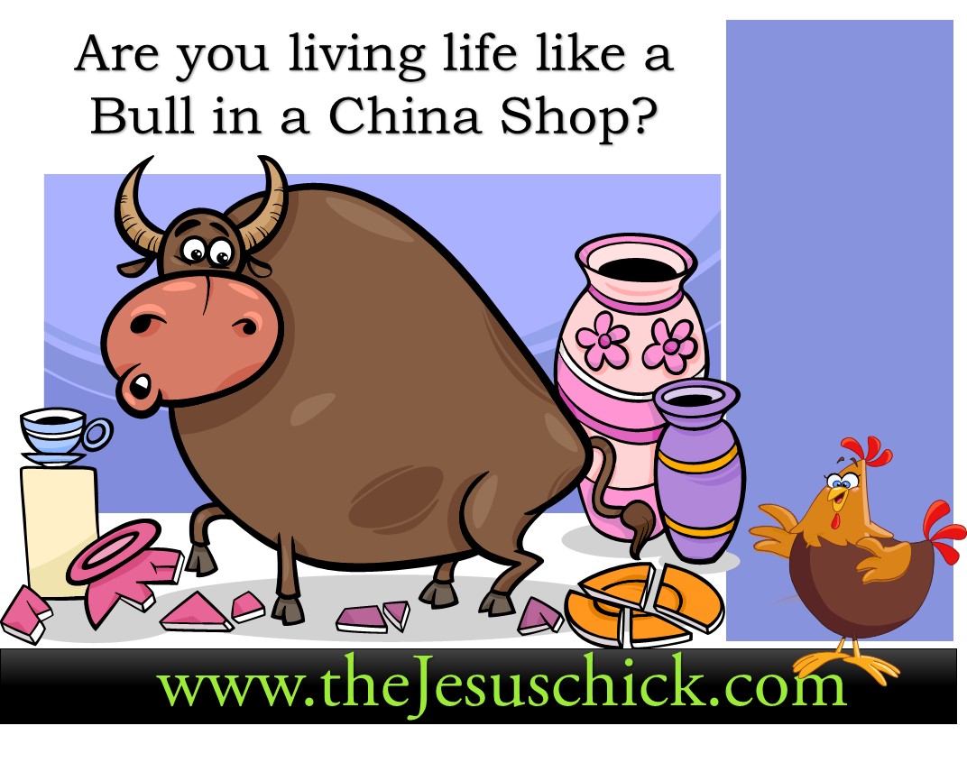 china shop living