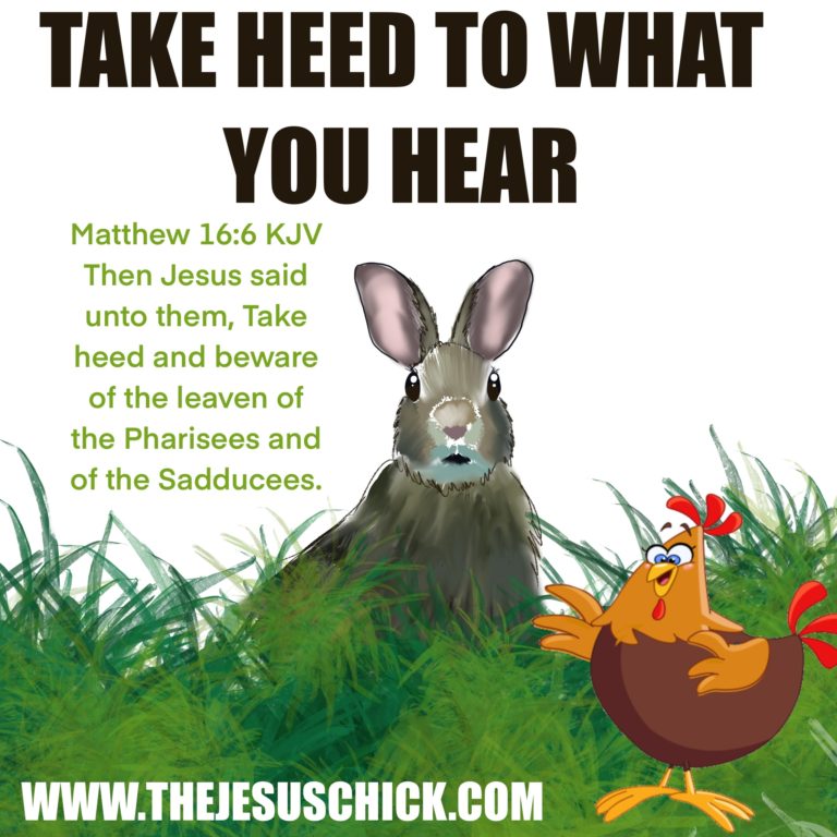 Take Heed! – The Jesus Chick